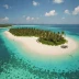 Naked Island