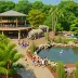 North Carolina Zoo