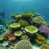 Nha Trang Reefs