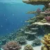Naama Bay Reef