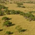 Ngongoni Veld