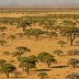 Nossob Bushveld