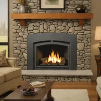 Napoleon Rosedale Series Gas Insert