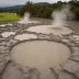 Ngā Mōkai-a-Koko Mud Pool