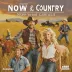 NOW That's What I Call Country