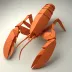 Nicolas Terry's Lobster