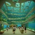 National Museum of Marine Biology & Aquarium Taiwan