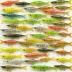 NetBait Paca Slim