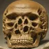 Neanderthal 1 (Feldhofer Cave skull)