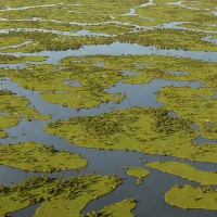Narran Lakes