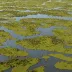 Narran Lakes