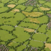 Nomansland Common