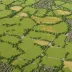 Nomansland Common