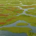 Netley-Libau Marsh