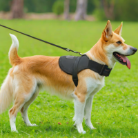 Neco Training Collar