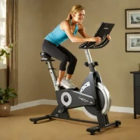 NordicTrack GX 2.7 Upright Bike