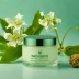 Naturium Plant Ceramide Rich Moisture Cream