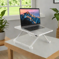 Northlight Heavy Duty Laptop Stand
