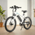 Nakto 26 Inch Electric Bike
