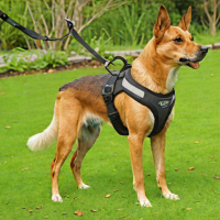 Nitehawk Dog Harness