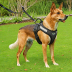 Nitehawk Dog Harness