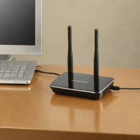 Netgear WN3000RP