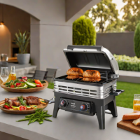 Ninja Foodi Smokeless Indoor & Outdoor Grill
