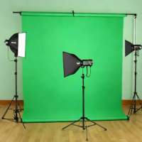 Neewer Collapsible Green Screen