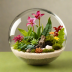 Nature's Bloom DIY Terrarium Kit