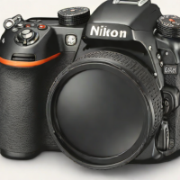 Nikon Prostaff P3 8x42