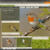 National Geographic Field Guide to the Birds of North America