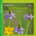 National Audubon Society Pocket Guide to Familiar Wildflowers