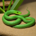Oriental Whip Snake