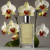 Olympic Orchids