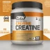Optimum Nutrition Creatine (Smaller Tub)