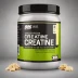 Optimum Nutrition Creatine Loading