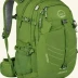 Osprey Radial 34