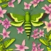Oleander hawk-moth