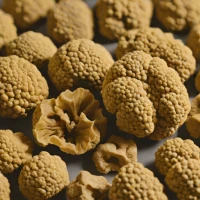 Oregon White Truffle