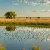Old Wives Lake Prairie