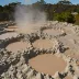 Orakei Korako Mud Pools
