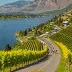 Okanagan Marathon