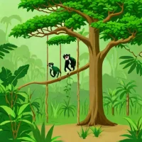 Okomu National Park