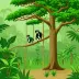 Okomu National Park