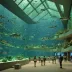 Oceanarium Lisboa