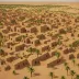 Oualata Oasis
