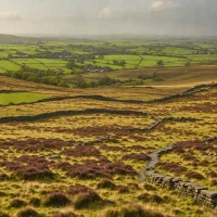 Oxenhope Moor