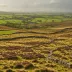 Oxenhope Moor