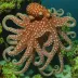 Octopus graptus