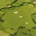 Old Pewsey White Horse